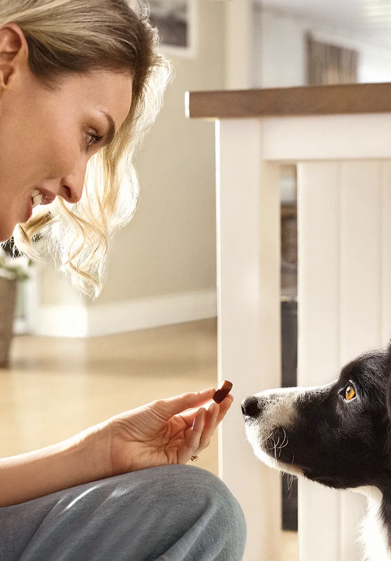 FRONTPRO<sup>®</sup>