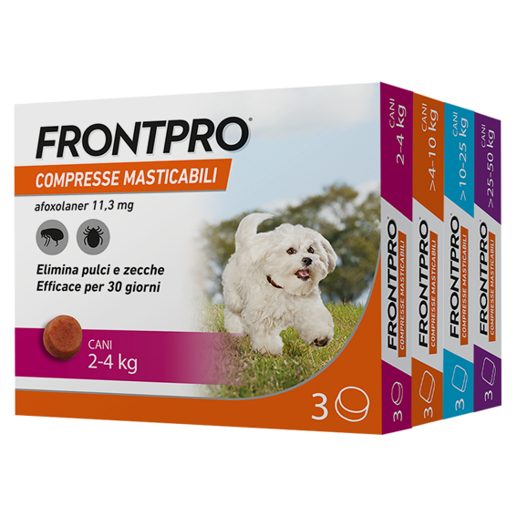 FRONTPRO<sup>®</sup>