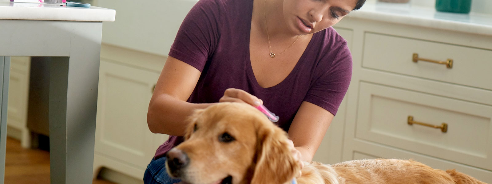 Come funziona Frontline Tri-Act