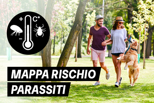 Mapa rischio parassiti