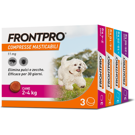 FRONTPRO