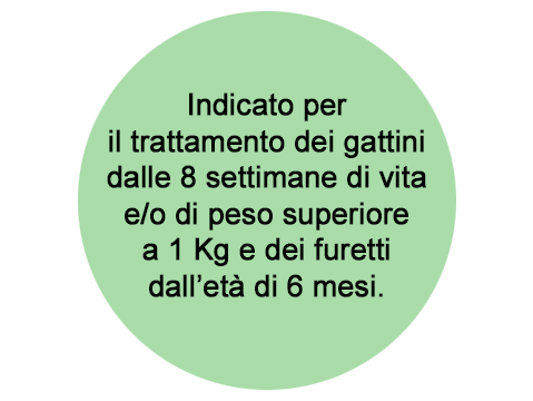 Disclaimer Frontline Combo Gatto