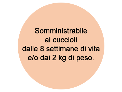 Disclaimer Frontpro