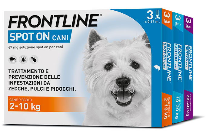 Frontline Spot On Cane