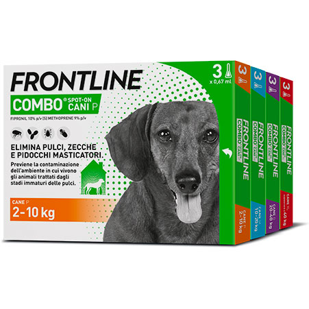 Frontline Combo Cani