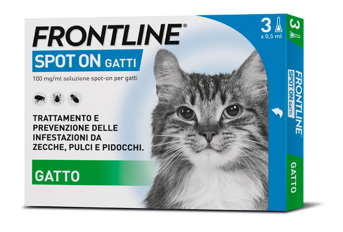 Frontline Spot On Gatti