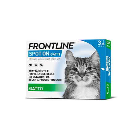 Frontline Spot On Gatti