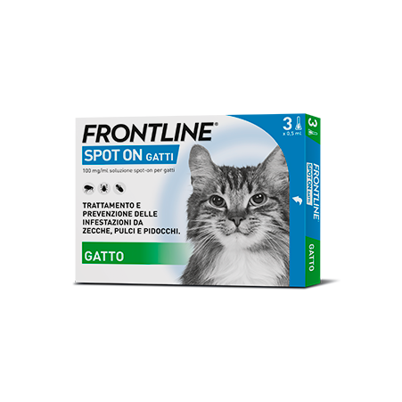 Frontline Spot On Gatti
