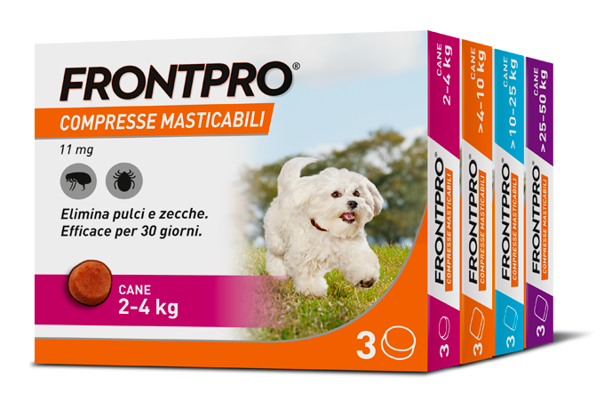 Frontpro gamma