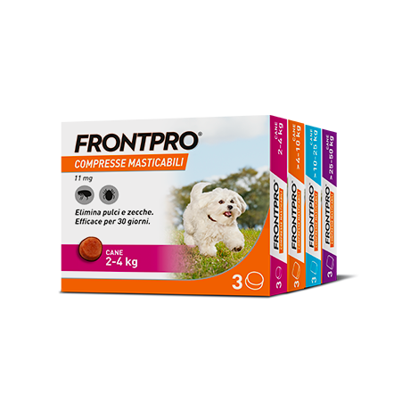 Frontpro Gamma