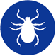 Zecca